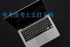 中考没考上去打工吗?