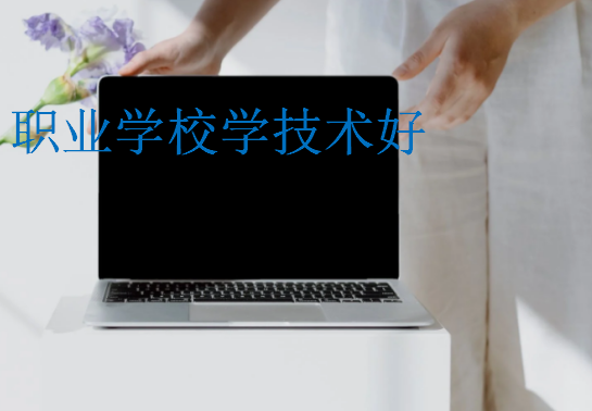 职业学校学技术好