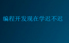 编程开发现在学迟不迟(转行做开发难吗)