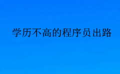 学历不高的程序员出路(当程序员学历要求高吗)