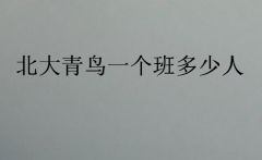 2023年北大青鸟一个班多少人(北大青鸟有多少人)