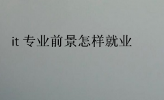 it专业前景怎样就业?