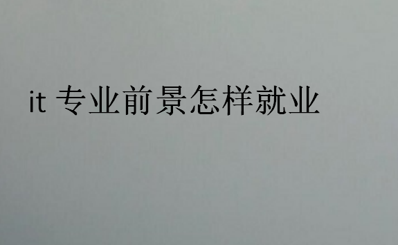 it专业前景怎样就业