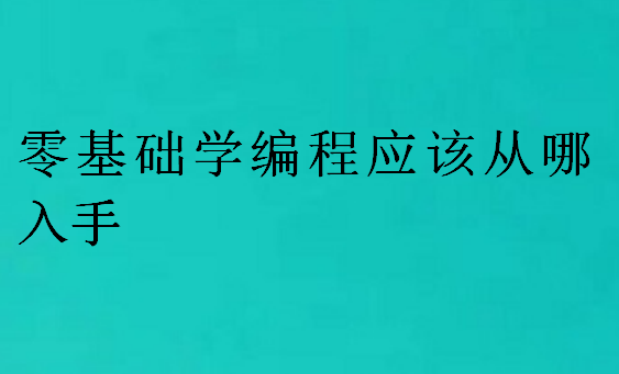 零基础学编程应该从哪入手