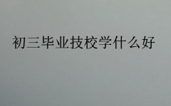 初三毕业技校学什么好?
