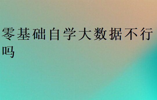 零基础自学大数据不行吗