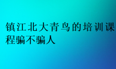 镇江北大青鸟的培训课程骗不骗人?