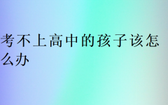 考不上高中的孩子该怎么办(江苏省南京)