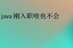 计算机科学学什么课程(基础内容)