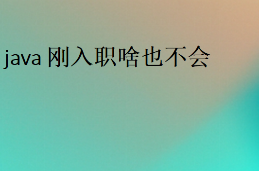 计算机科学基础内容