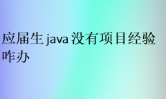 应届生java没有项目经验咋办(工作好找吗)